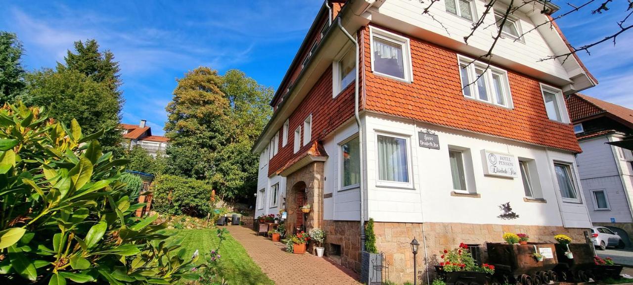 Hotel Elisabeth-Ilse Braunlage Exteriör bild